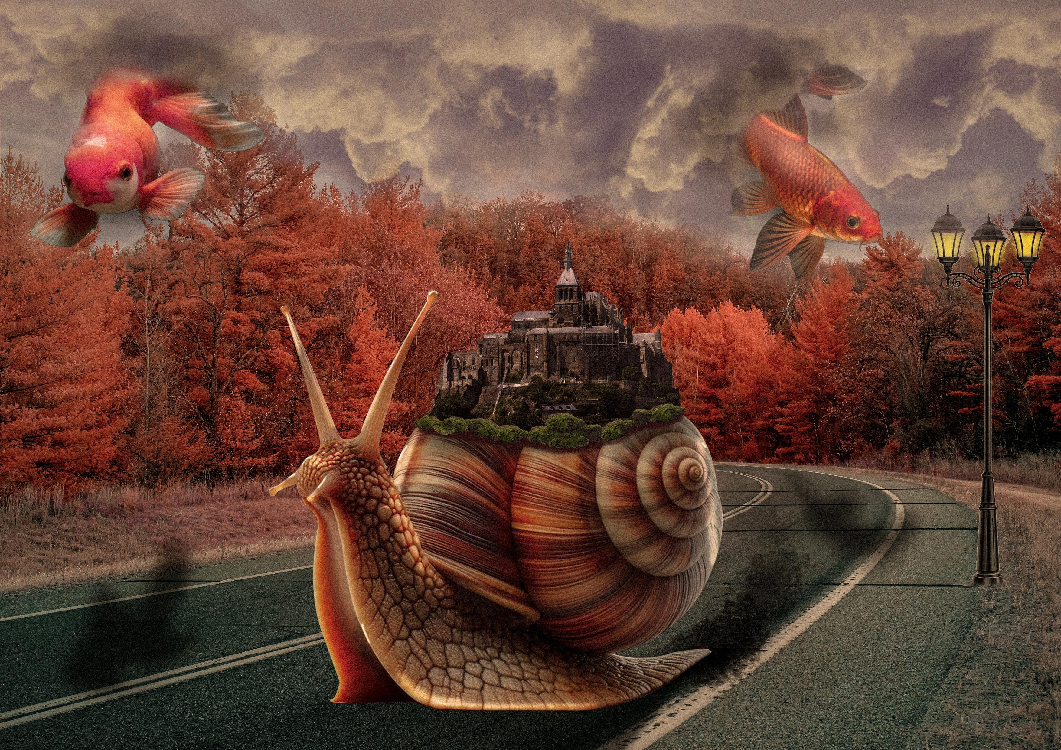 Fotomontaje Photoshop